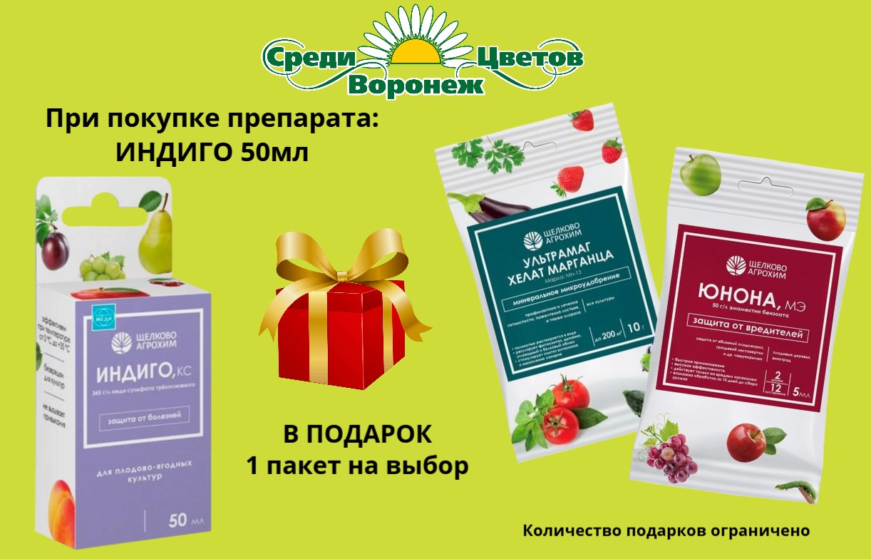 ПОЛУЧИ ПОДАРОК ПОЛУЧИ ПОДАРОК