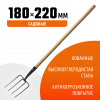 Вилы GRINDA 4-х рогие 180*220*1300 дерев.черенок (39721)